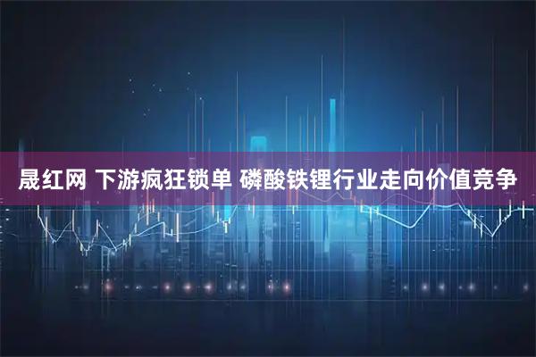 晟红网 下游疯狂锁单 磷酸铁锂行业走向价值竞争