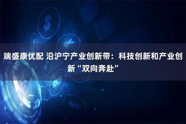 端盛康优配 沿沪宁产业创新带：科技创新和产业创新“双向奔赴”