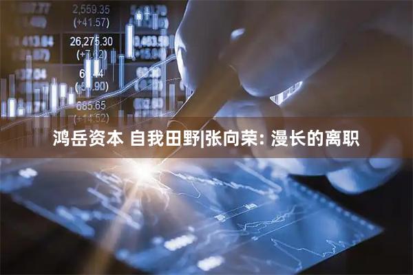 鸿岳资本 自我田野|张向荣: 漫长的离职