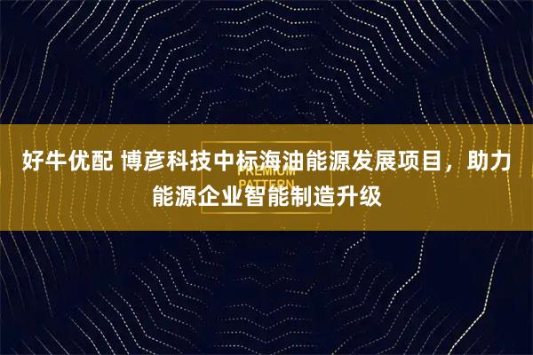 好牛优配 博彦科技中标海油能源发展项目，助力能源企业智能制造升级