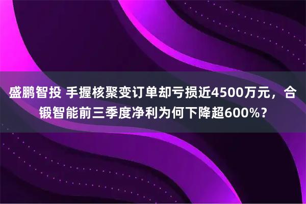 盛鹏智投 手握核聚变订单却亏损近4500万元，合锻智能前三季度净利为何下降超600%？