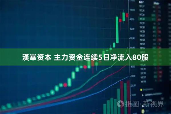 漢崋资本 主力资金连续5日净流入80股